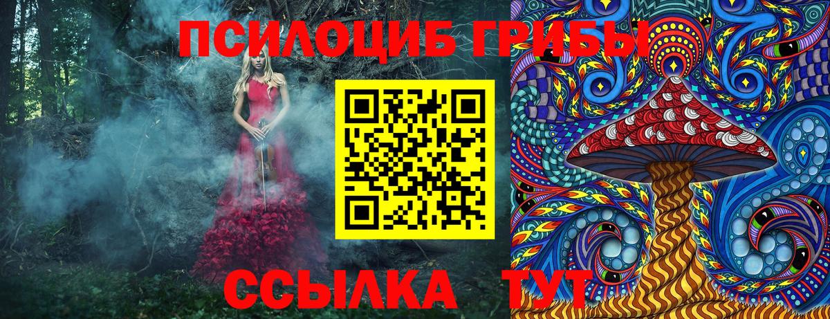 Псилоцибиновые грибы Psilocybe  Псилоцибиновые грибы мицелий  Вход с VPN  Дубна 